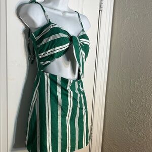 Lovers + Friends Green and White Striped Mini Dress